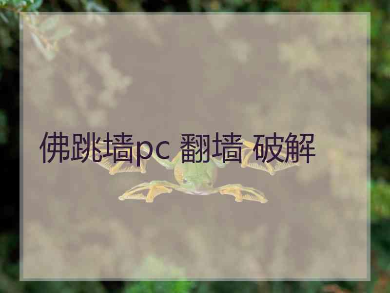 佛跳墙pc 翻墙 破解