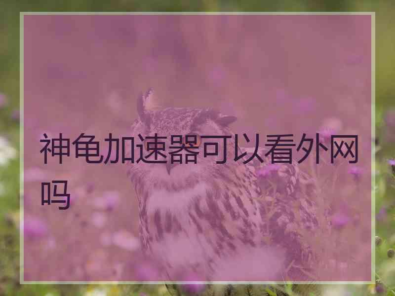 神龟加速器可以看外网吗