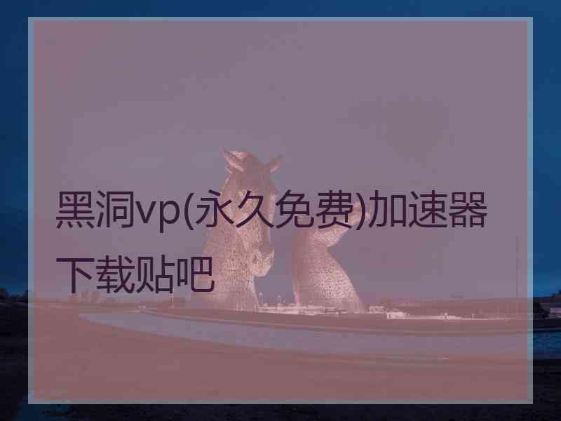 黑洞vp(永久免费)加速器下载贴吧