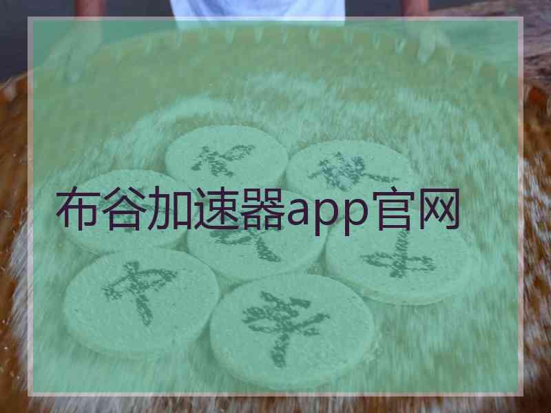 布谷加速器app官网