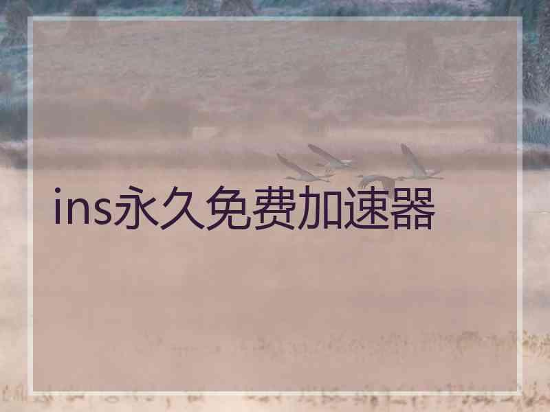 ins永久免费加速器