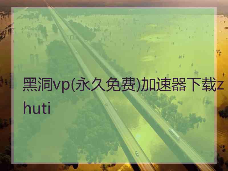 黑洞vp(永久免费)加速器下载zhuti