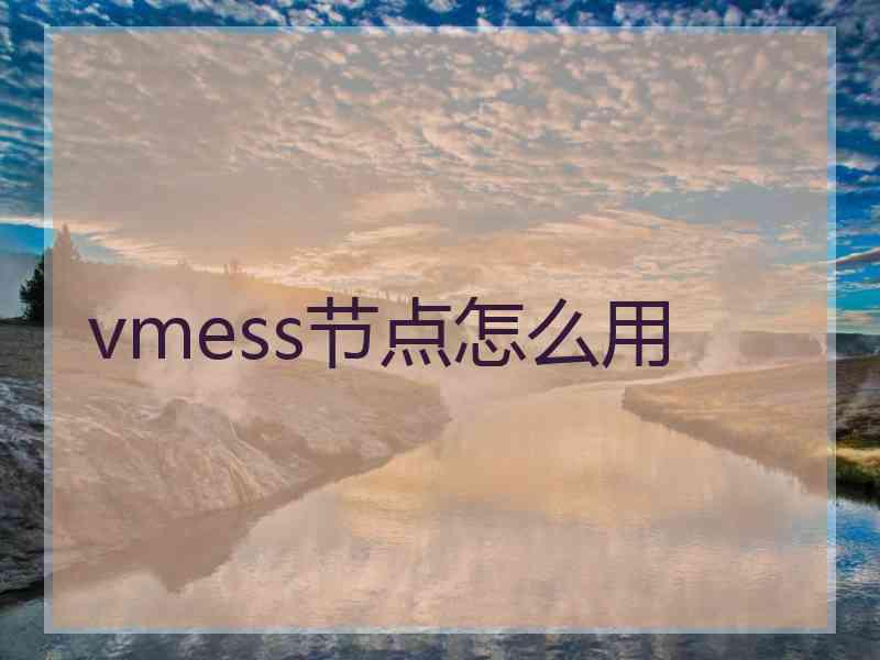 vmess节点怎么用