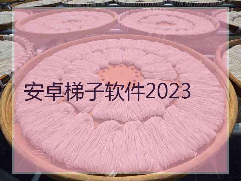 安卓梯子软件2023