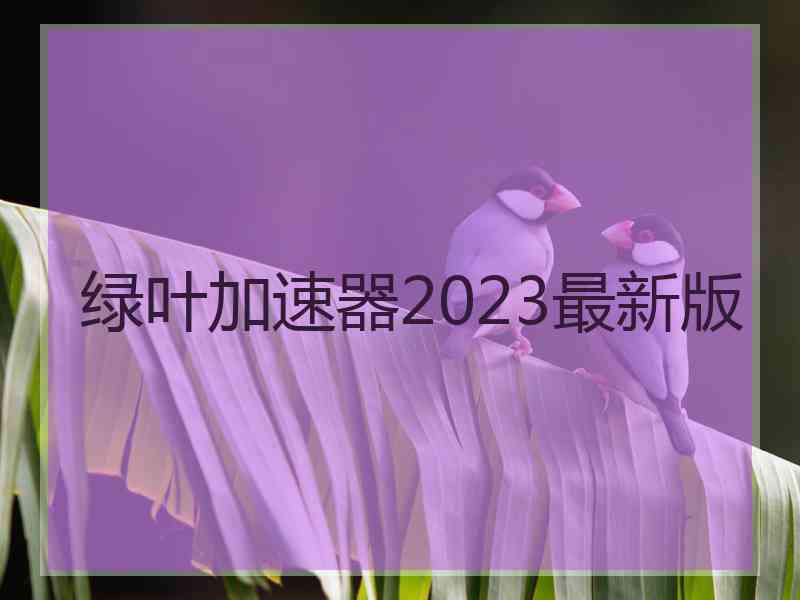 绿叶加速器2023最新版