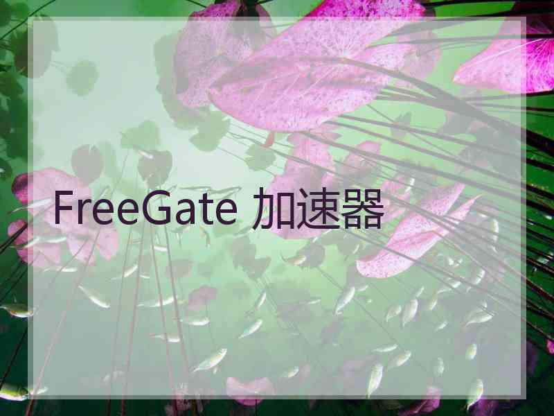 FreeGate 加速器