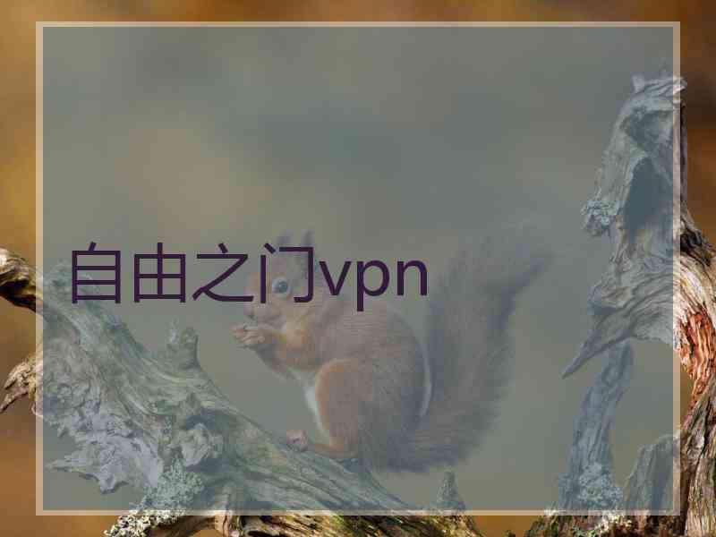 自由之门vpn