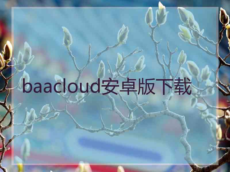 baacloud安卓版下载