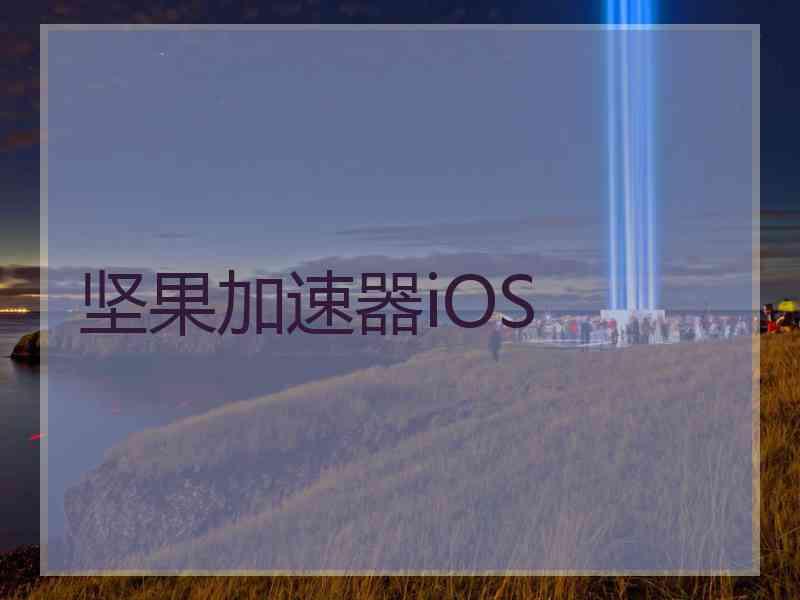 坚果加速器iOS