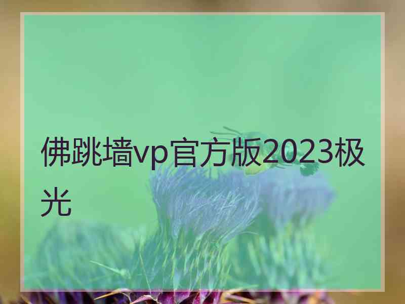 佛跳墙vp官方版2023极光