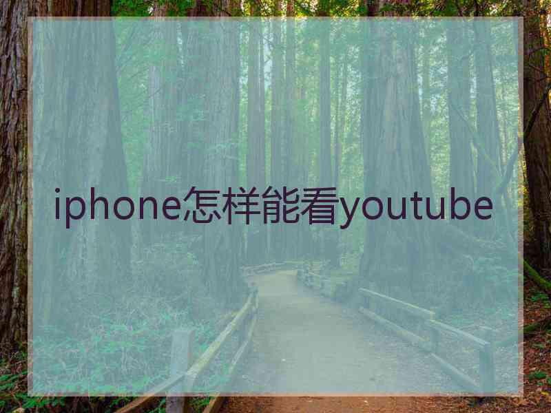 iphone怎样能看youtube