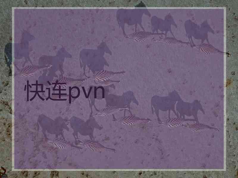 快连pvn