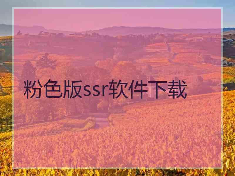 粉色版ssr软件下载