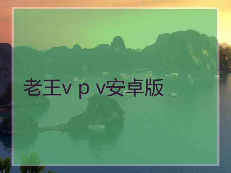 老王v p v安卓版