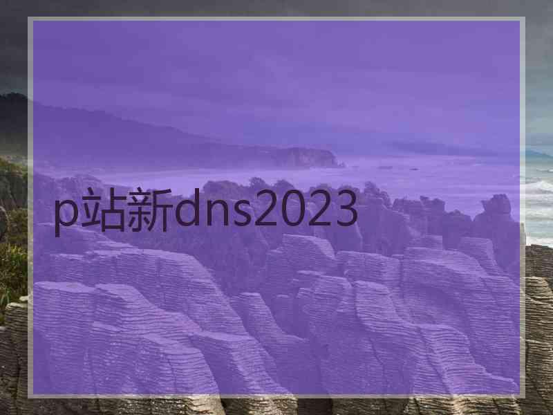 p站新dns2023