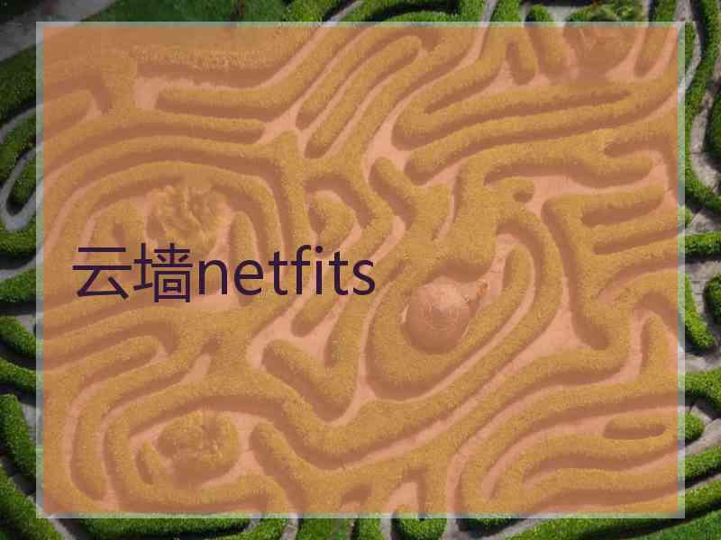 云墙netfits