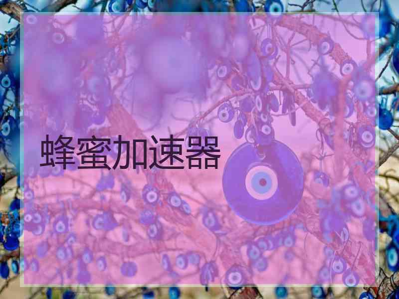 蜂蜜加速器