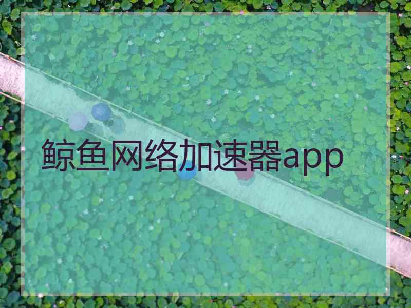 鲸鱼网络加速器app