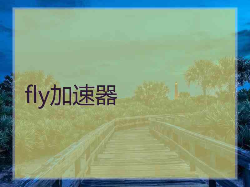 fly加速器