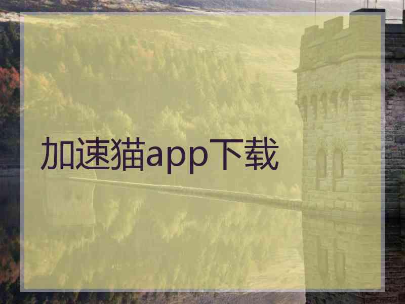 加速猫app下载