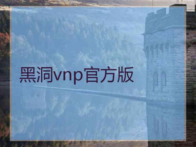 黑洞vnp官方版