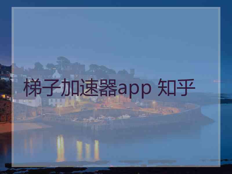 梯子加速器app 知乎