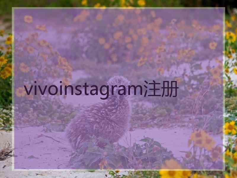 vivoinstagram注册