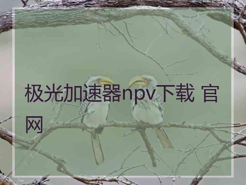 极光加速器npv下载 官网