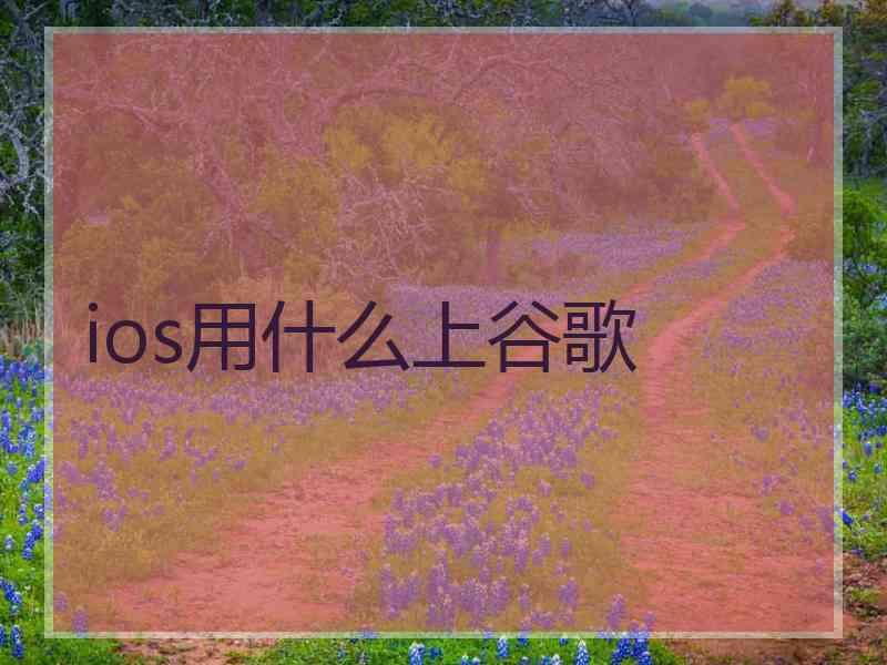 ios用什么上谷歌