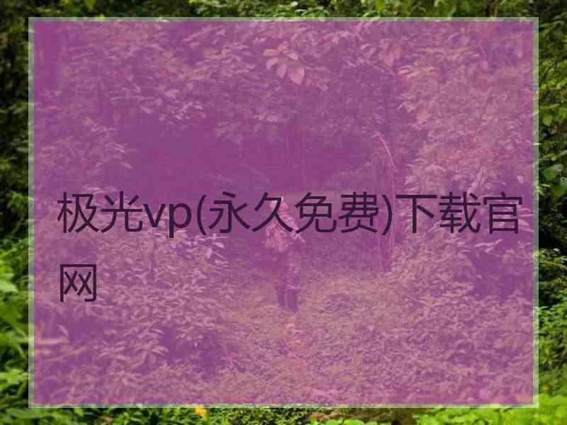 极光vp(永久免费)下载官网