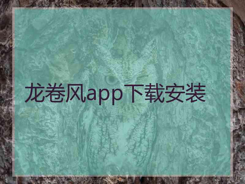 龙卷风app下载安装