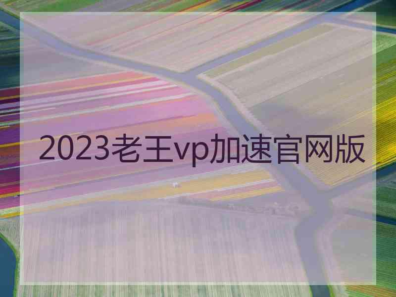 2023老王vp加速官网版