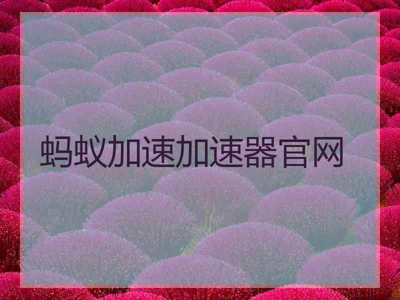 蚂蚁加速加速器官网