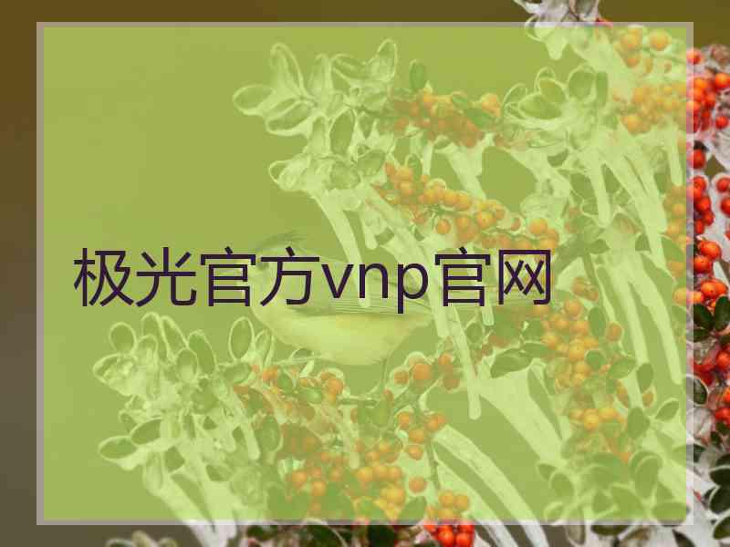 极光官方vnp官网