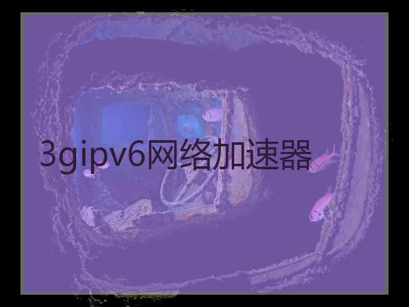 3gipv6网络加速器