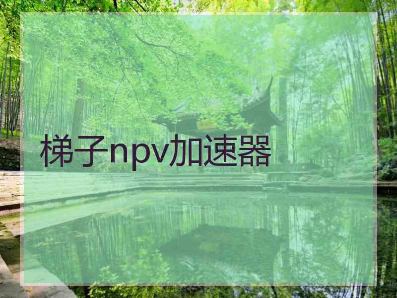 梯子npv加速器