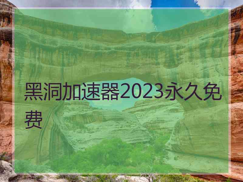 黑洞加速器2023永久免费