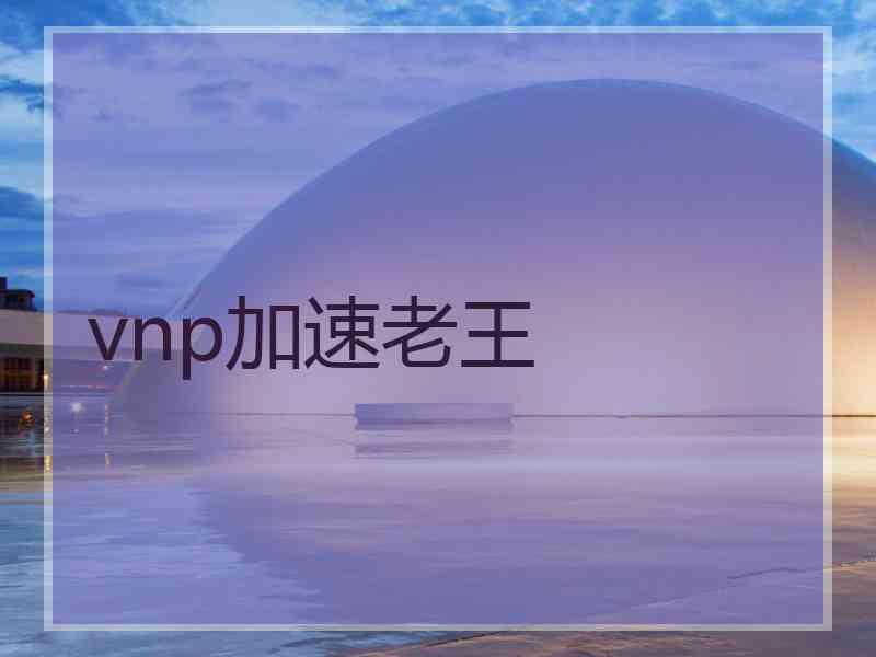 vnp加速老王