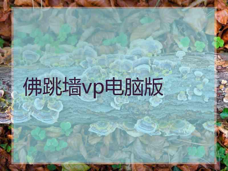 佛跳墙vp电脑版